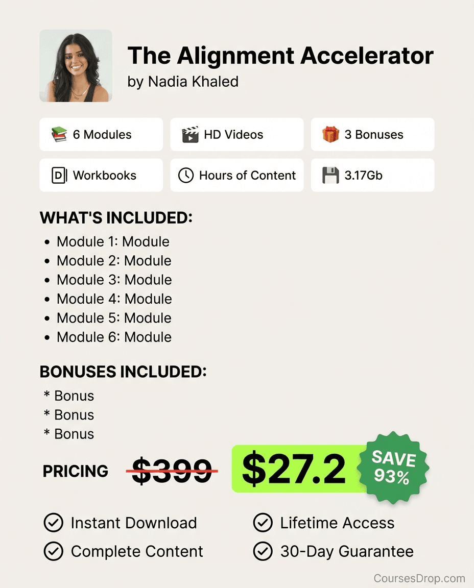 The Alignment Accelerator infographic